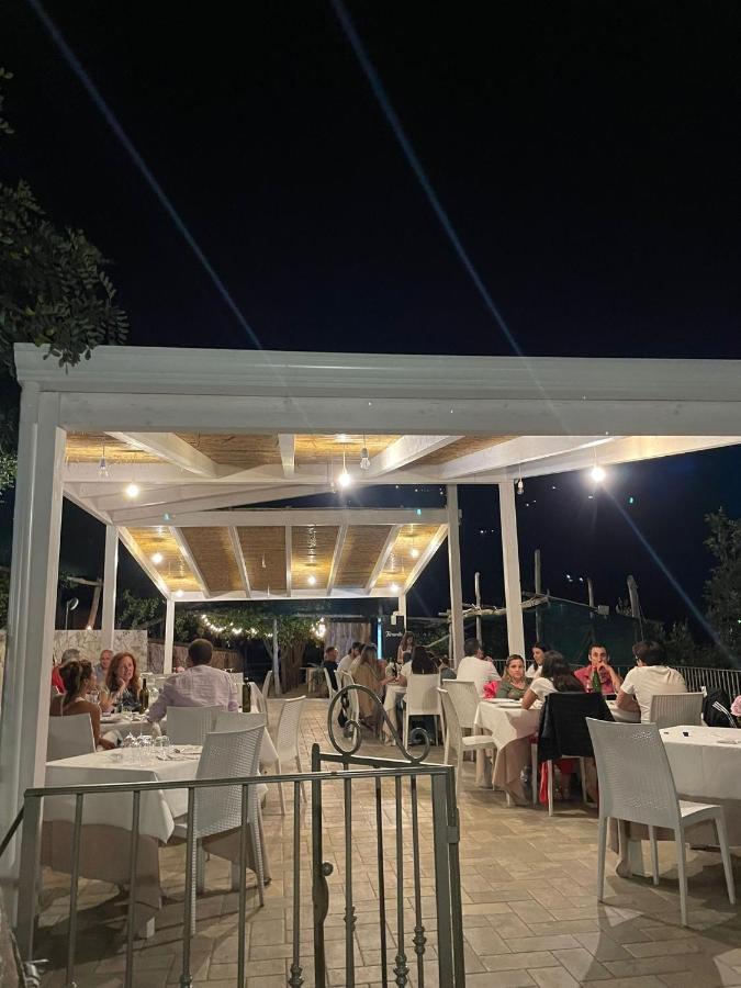 隆诺雷吉诺农庄酒店 维克艾库塞 外观 照片